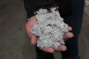 cellulose in hand